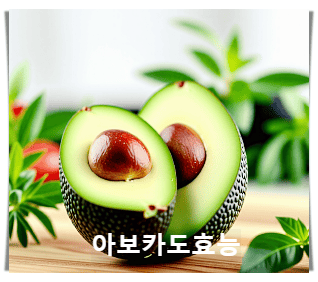 아보카도 3