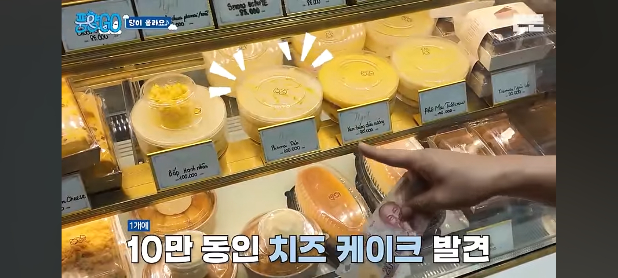 풍향고