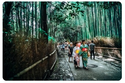 일본 입국시 필요서류