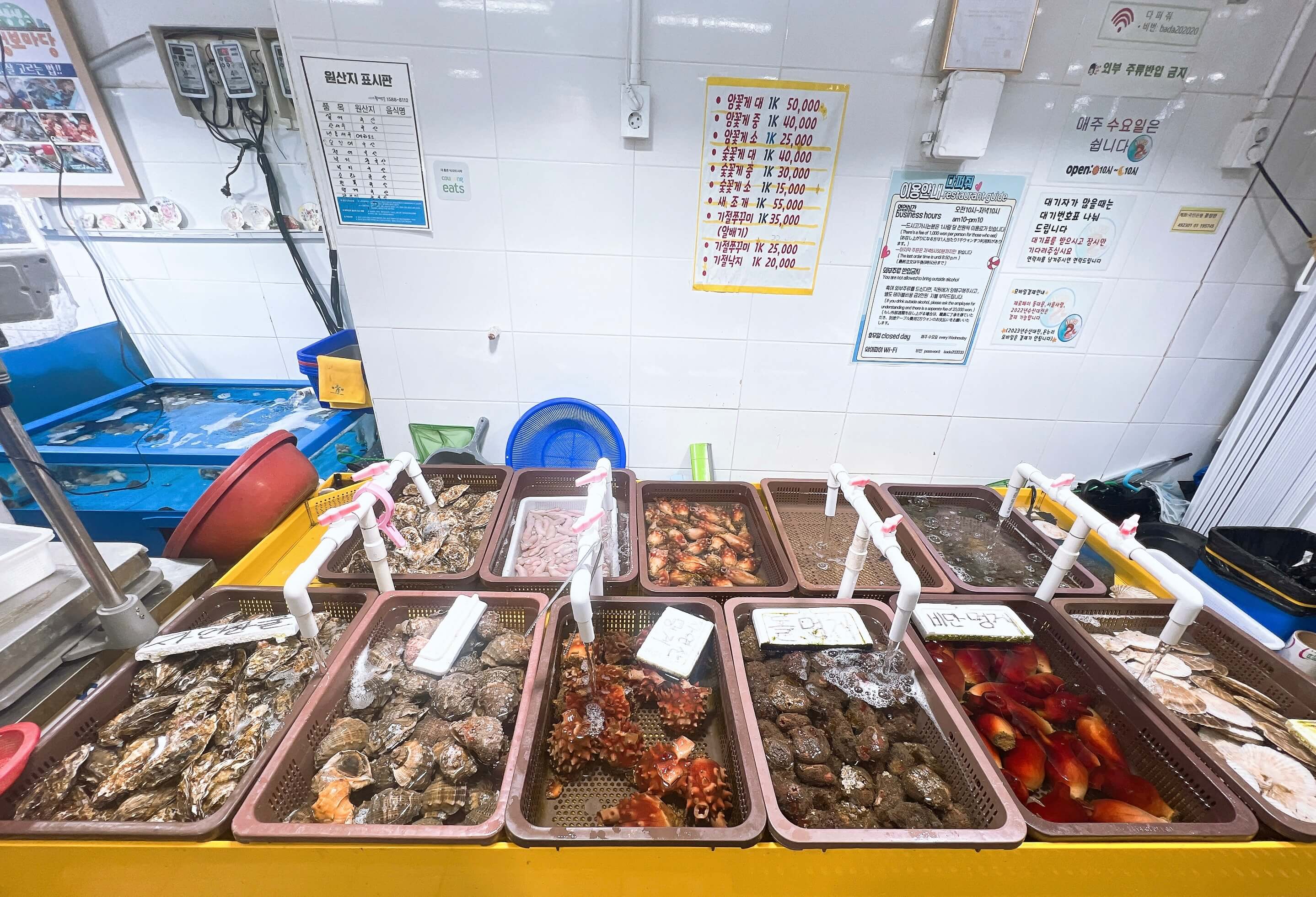 경동시장 다퍼줘 횟집 관련 사진