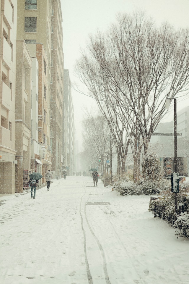 대설특보 재난문자 다시보기 및 알림 설정 완벽 정리