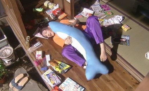 홍조 민정원 1인1묘살림일지