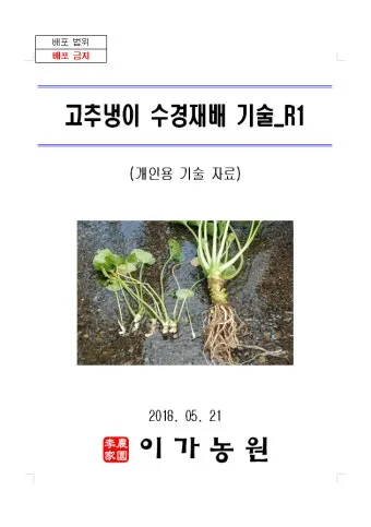 냉이 재배 가을 파종 월동 보온 봄 수확_4