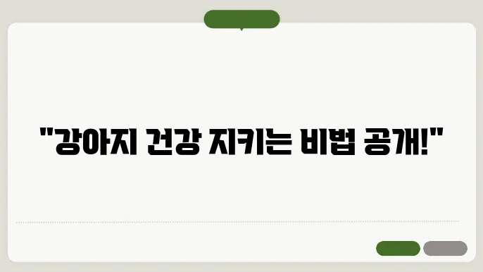 강아지의 건강을 위한 염증 예방 영양제 추천