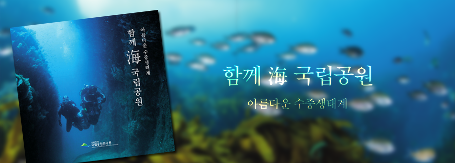 국립공원
