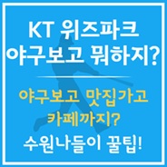 직관 전후 수원나들이 꿀팁!
