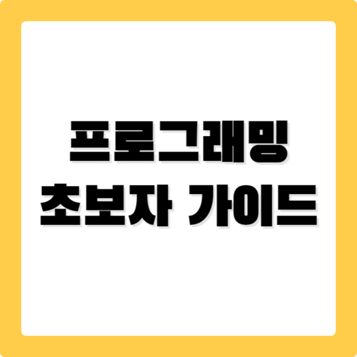 프로그래밍 초보자 가이드