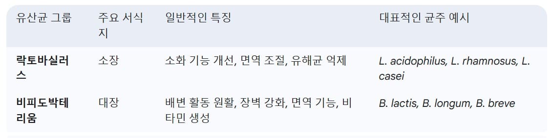 유산균-그룹-대비-특징,-예시