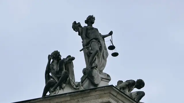 법으로 판단하는 사법