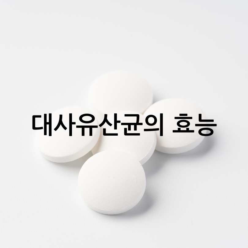 대사유산균 효능과 제품 추천