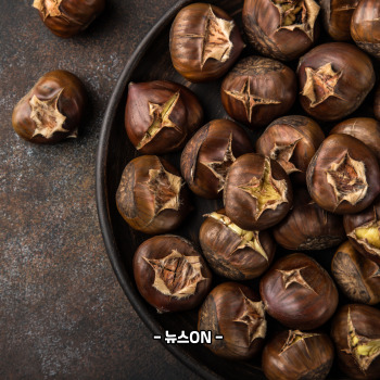 냉동밤 삶는 방법