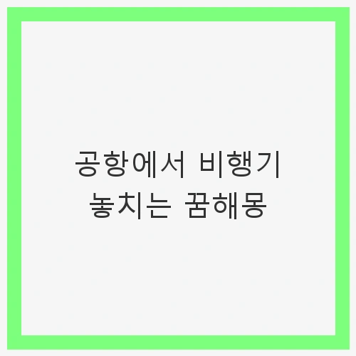공항에서 비행기 놓치는 꿈해몽 - 불안, 여행