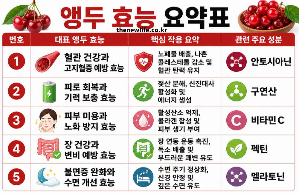 앵두 효능 요약표