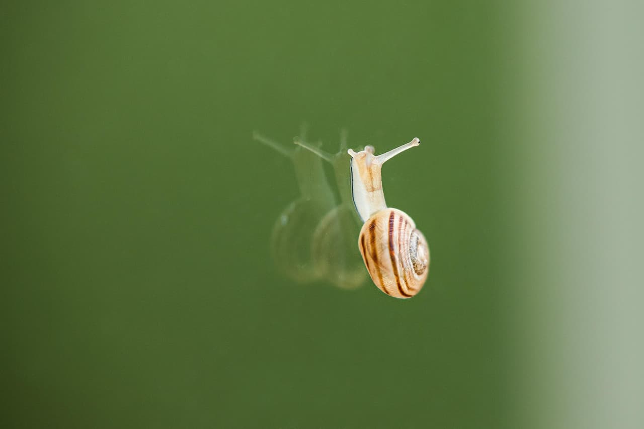재활에서 회복까지 얼마나 걸리나요?