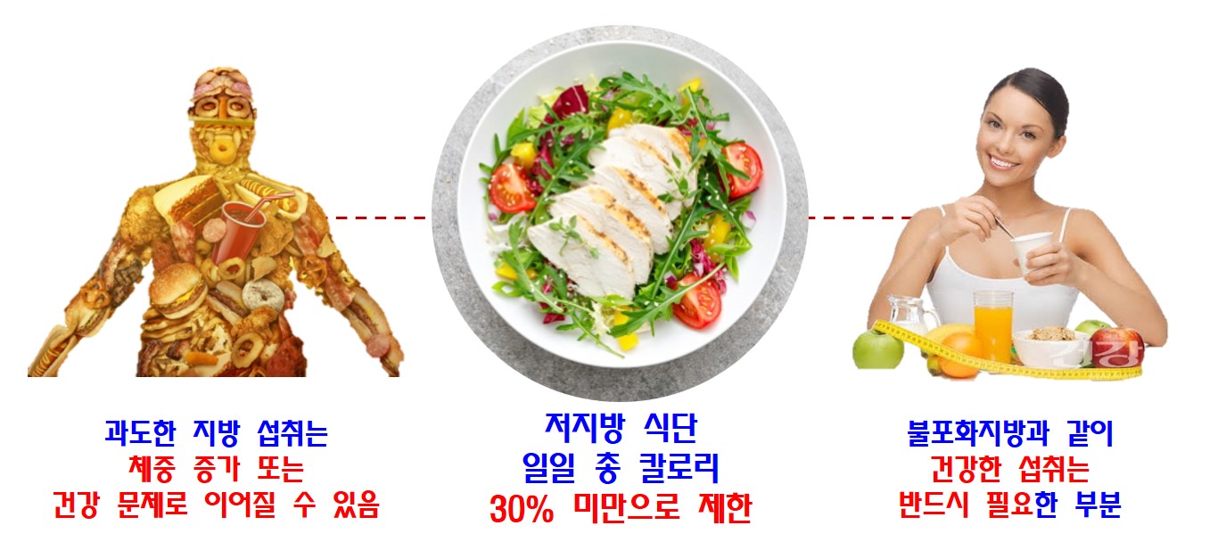 콜레스테롤