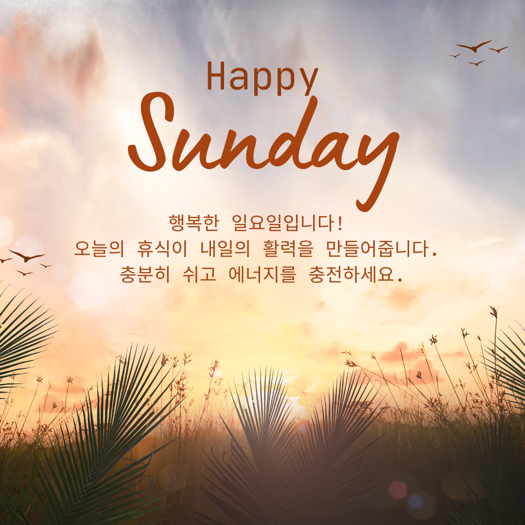 일요일 아침 인사말 이미지 문구 모음집