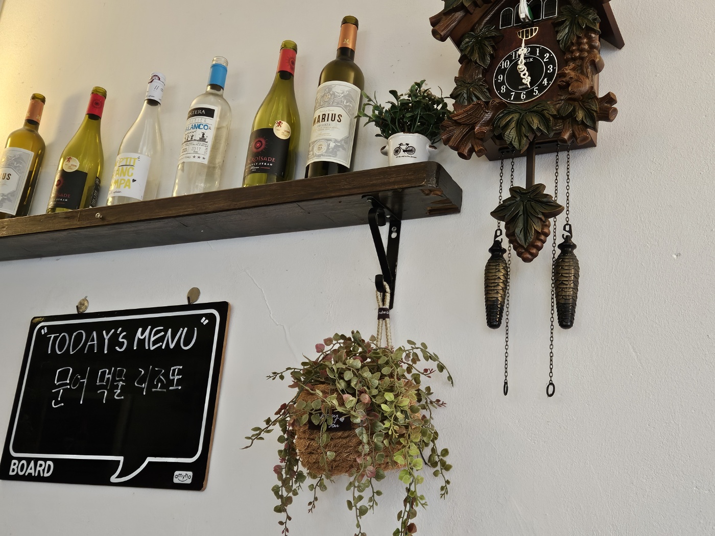 비스트로사랑방 오늘의 메뉴