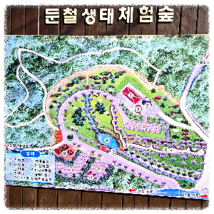 둔철생태체험숲