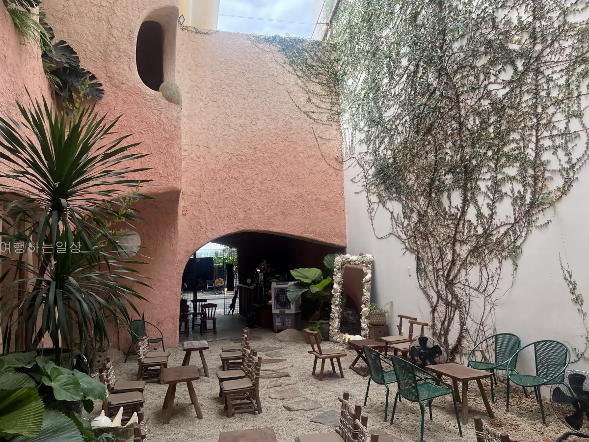 부모님이랑-나트랑-올라카페-포토존-코코넛커피-요거트-솔직후기