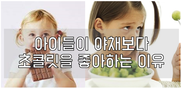 초콜릿
