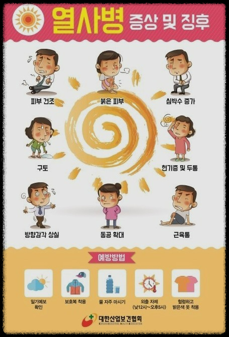 여름철 건강 위협: 열사병 완벽 가이드