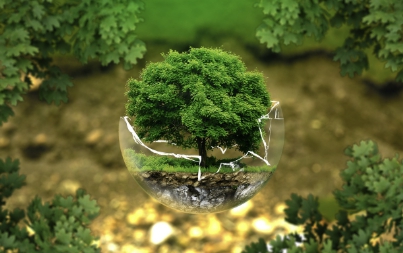 2025년 전기차 보조금