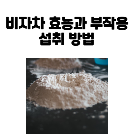 비자차 효능과 부작용 및 섭취 방법