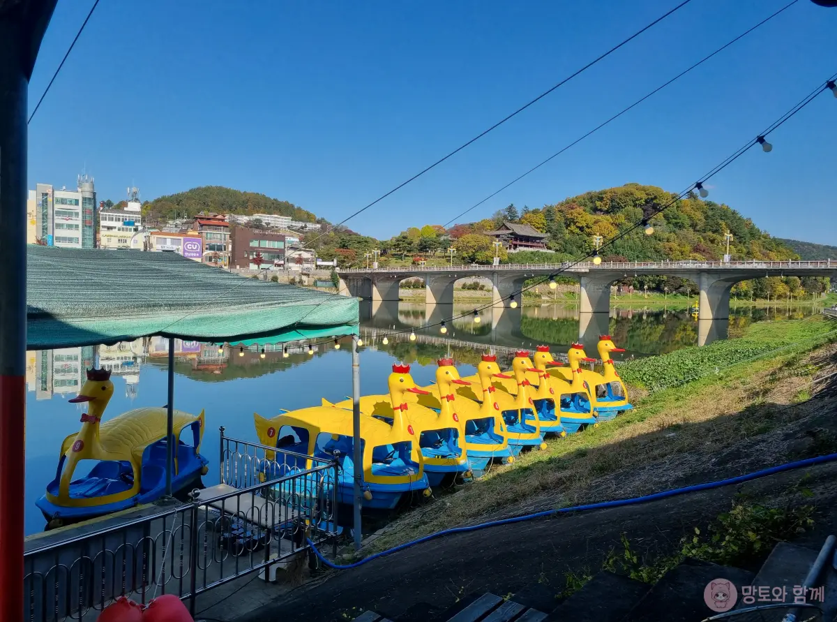 오리배