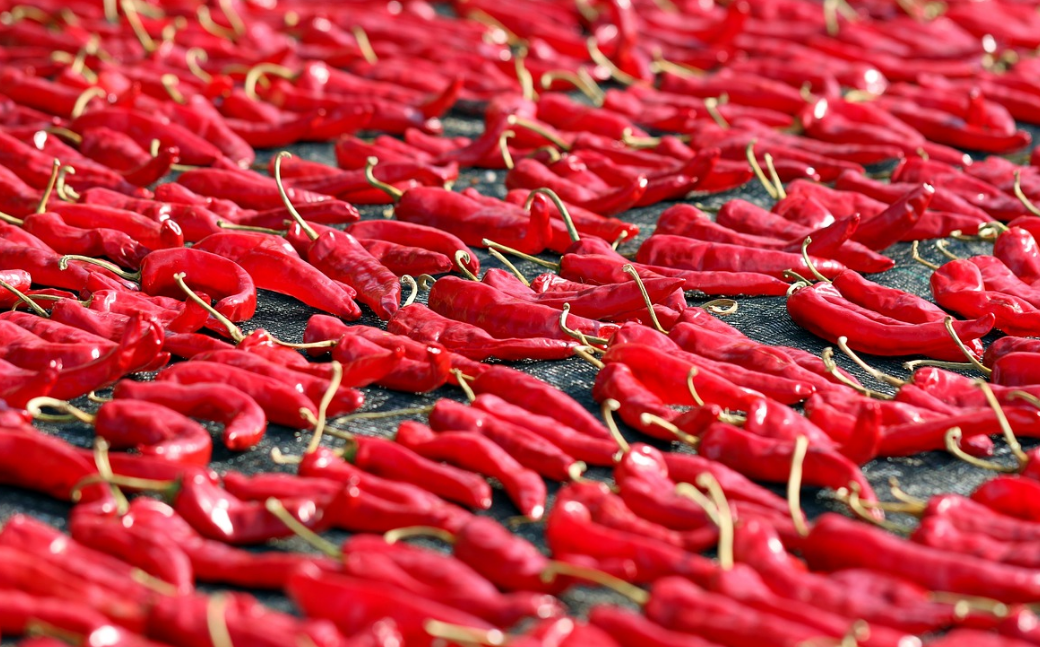 절임배추 20kg과 10kg 구매 시 배추 포기 수와 추천 김장 정보