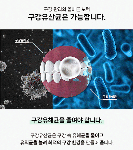 덴티오클린 구강 유산균 내돈내산 후기