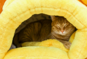 하남 미사 놀거리 BEST 10