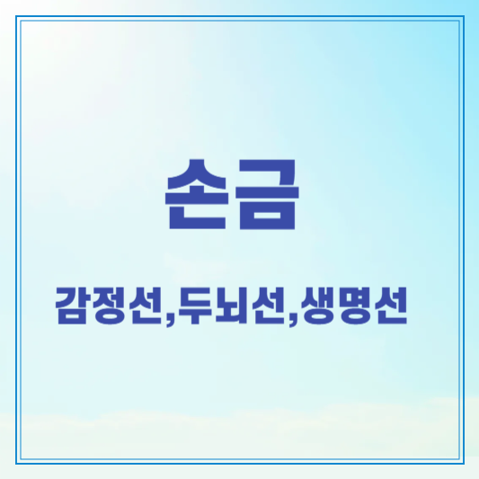 손금 감정선,두뇌선,생명선