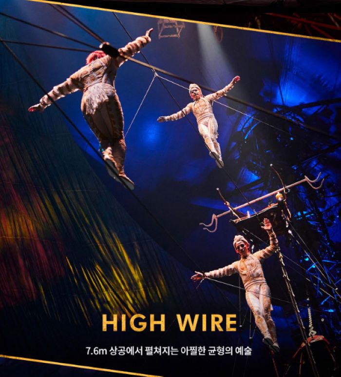 태양의-서커스-쿠자-가격