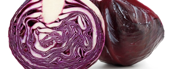 빨간 양배추 효능1