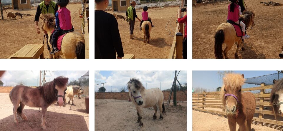 퍼스트가든 별빛이 흐르는 정원은 파주에 가 볼만한 곳으로 인기있는 곳입니다.