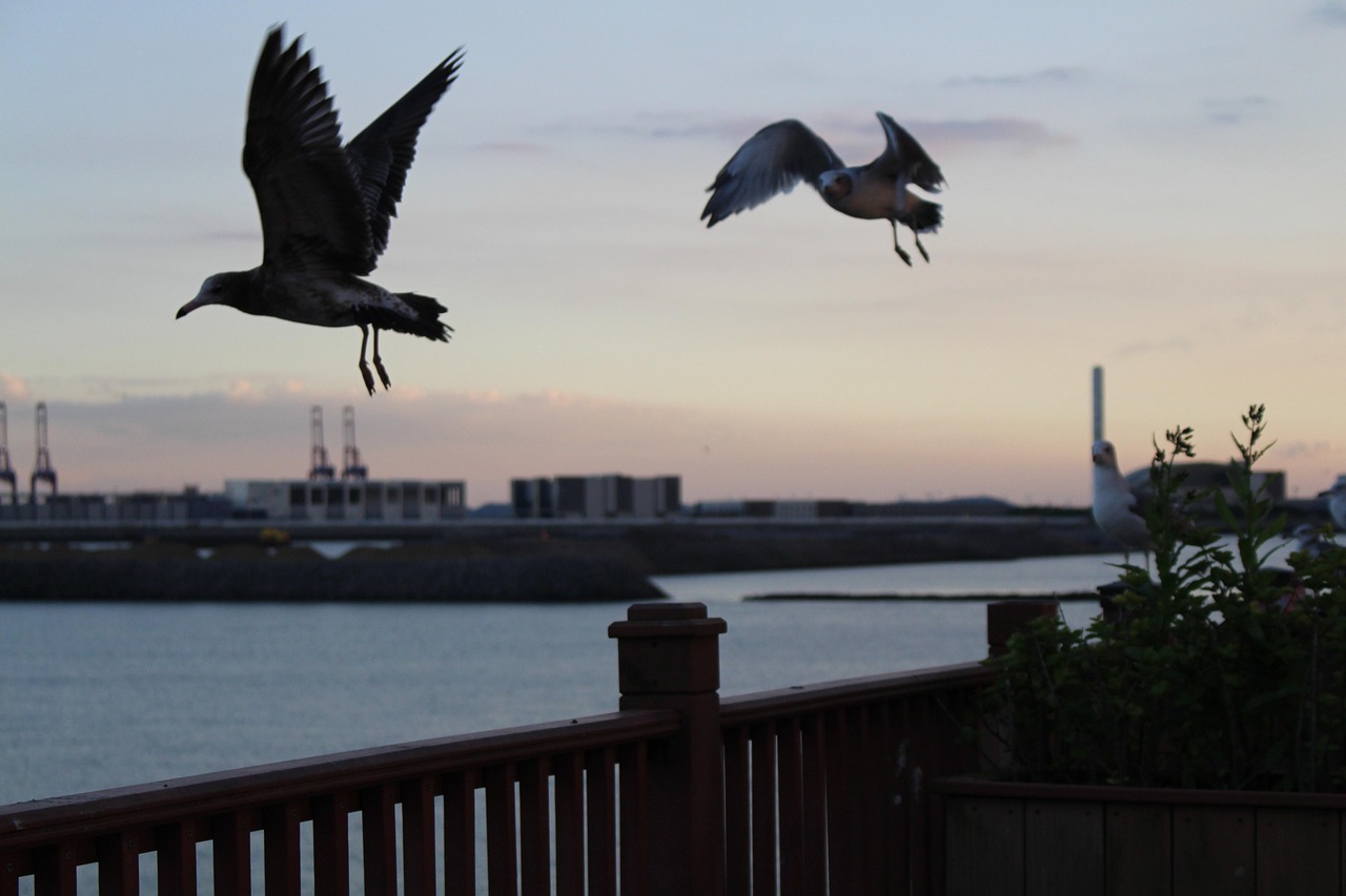 송도 센트럴파크 데이트 관련 사진