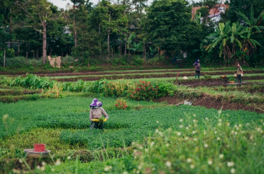 기본형 공익직불금 신청