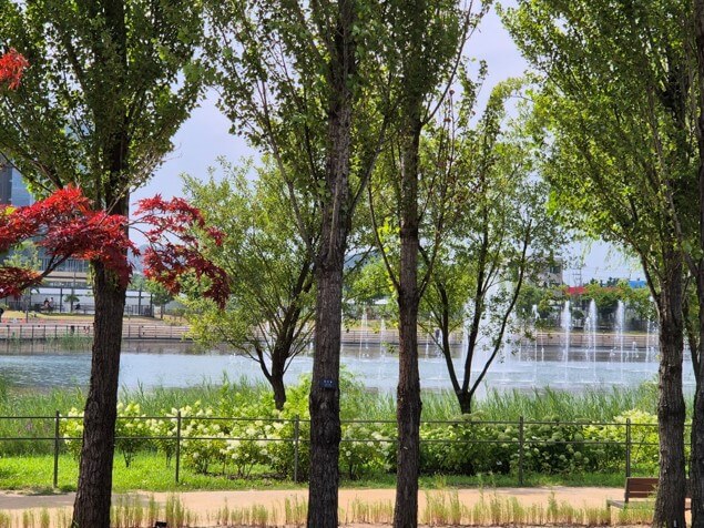 물놀이터 관련 사진2