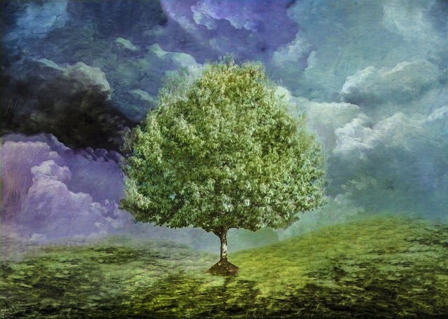 식목일의 의미와 산림청의 숲 가꾸기 정책, 왜 중요할까?