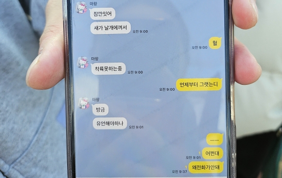제주공항 여객기 사고 사망자 명단 22명. 탑승객의 마지막 문자 카톡
