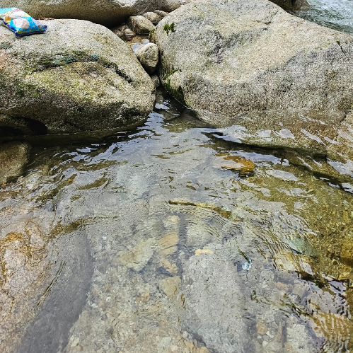 비닐 어항 설치