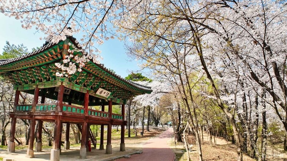 국내 효도 여행 추천 TOP 5
