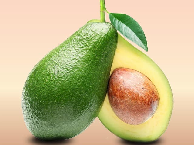 소량으로 시작하는 아보카도 오일