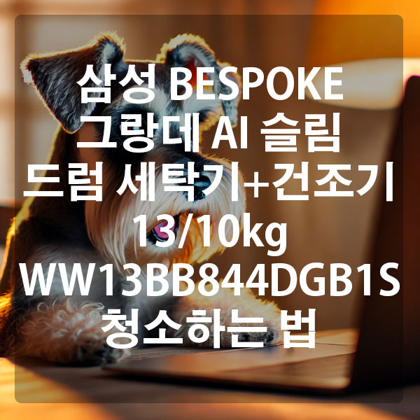 삼성 BESPOKE 그랑데 AI 슬림 드럼 세탁기+건조기 13/10kg WW13BB844DGB1S 청소하는 법