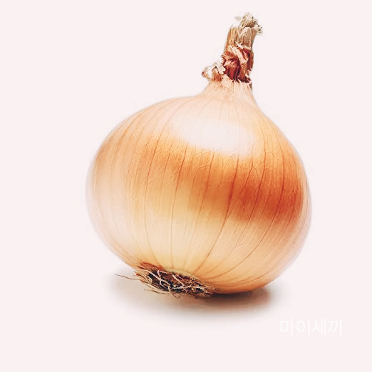 양파