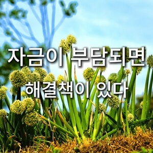 대파