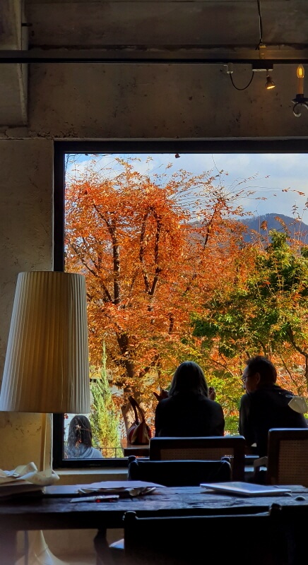 남양주-카페-대너리스-단풍