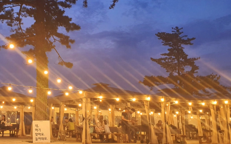 여수 예술랜드 리조트