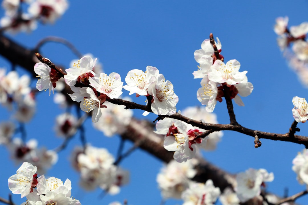 March