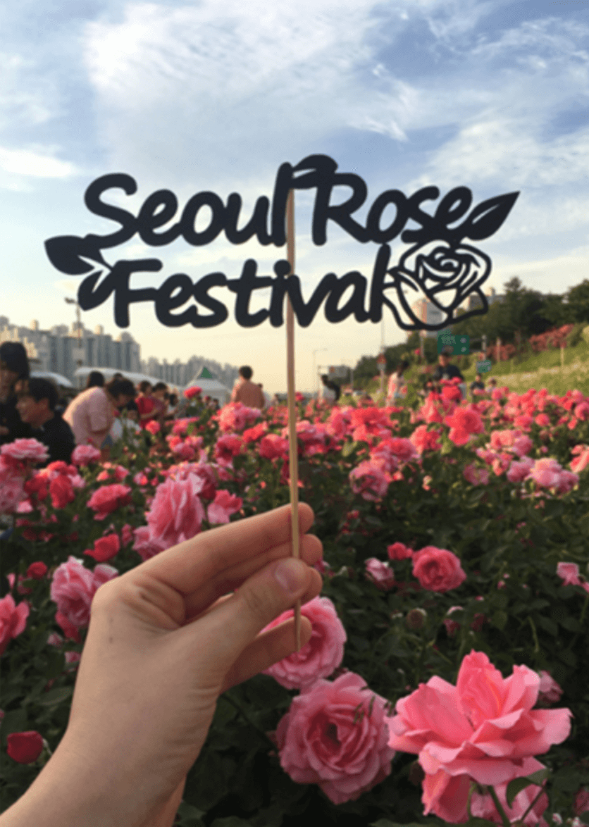 서울장미축제
